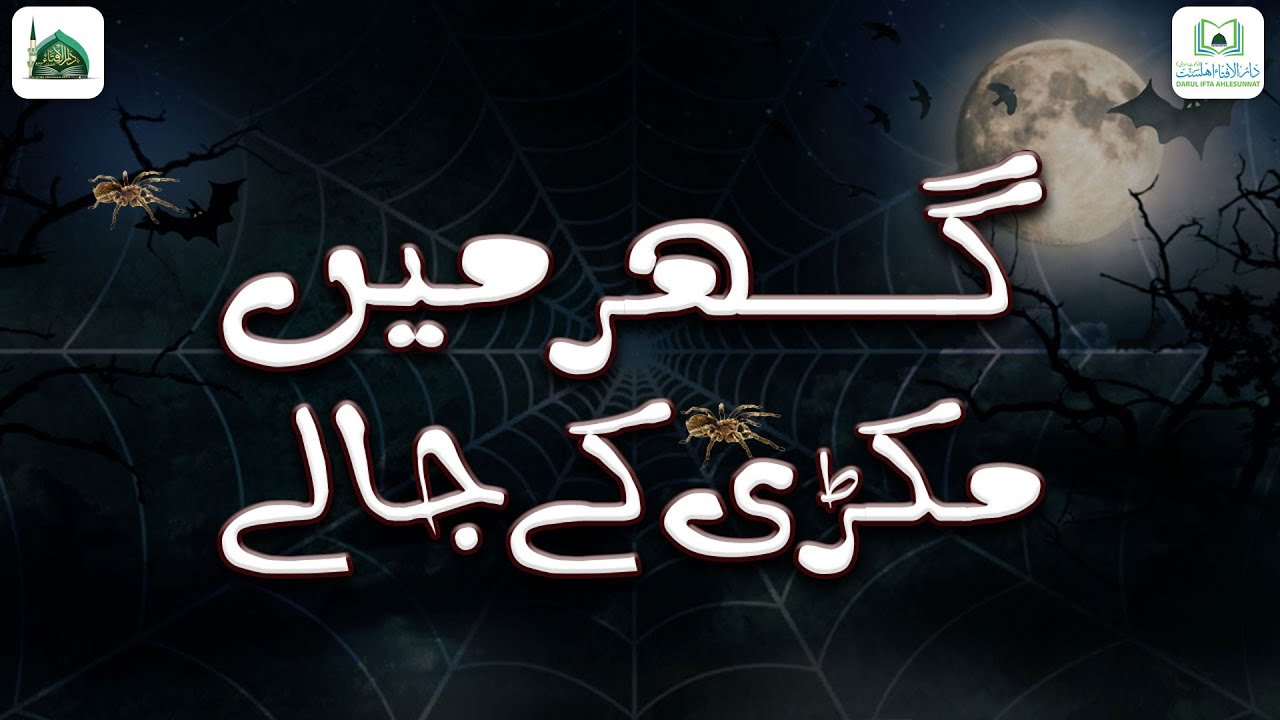 Ghar Me Makri Ke Jale Hone Ki Wajah Se Ghar Ko Manhoos Samjhna Kaisa?